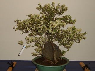 �������~