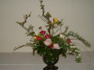 ���{�P�g�p������