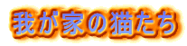 �䂪�Ƃ̔L����