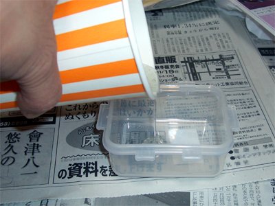 樹脂を1cmほど流し込む