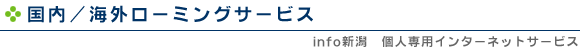 国内/海外ローミングサービス