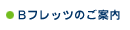 B�t���b�c�̂��ē�