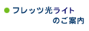 �t���b�c�����C�g�̂��ē�