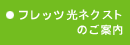 �t���b�c���l�N�X�g�̂��ē�