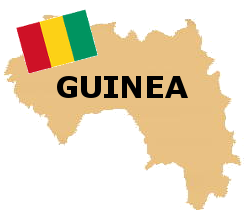 ギニア