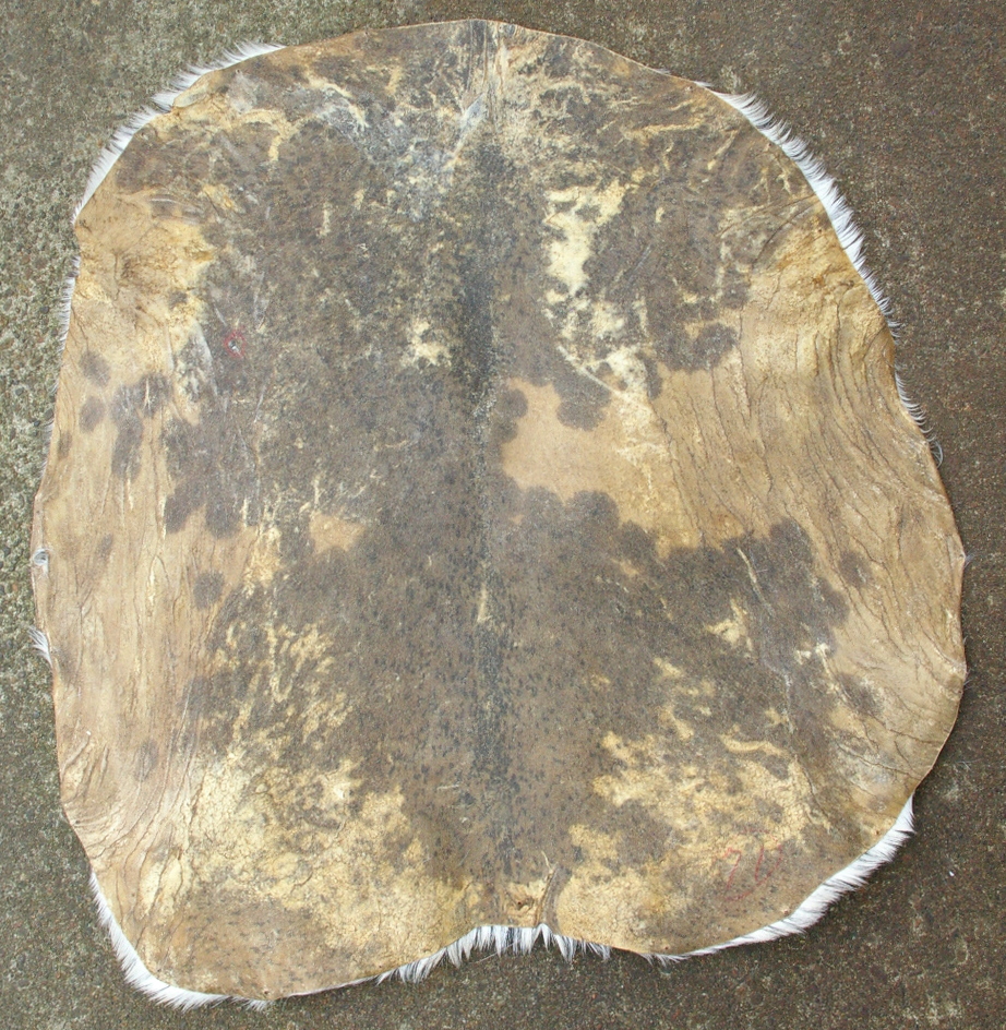 ジャンベ/ドラム用皮 西アフリカ産 ヤギ毛皮 Djembe/Drum Skin