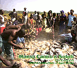 SENEDUNUN - Malinke Farming Music of Upper Guinea,Mansa camio & Sofoli CD