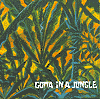 �S�}CD In a Jungle