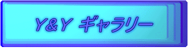Y&Y M[
