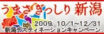 �f�X�e�B�l�[�V�����L�����y�[��