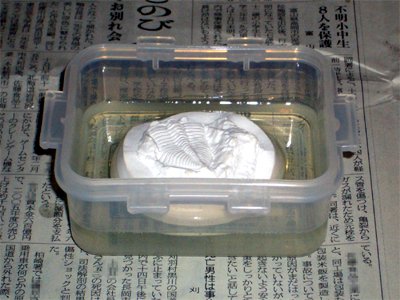 化石レプリカを置き樹脂をさらに注ぐ