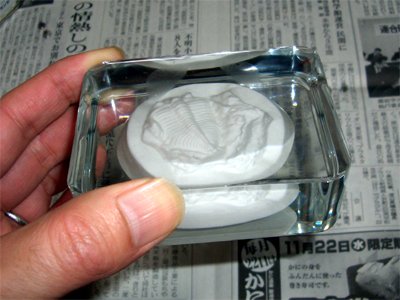 型から出したもの